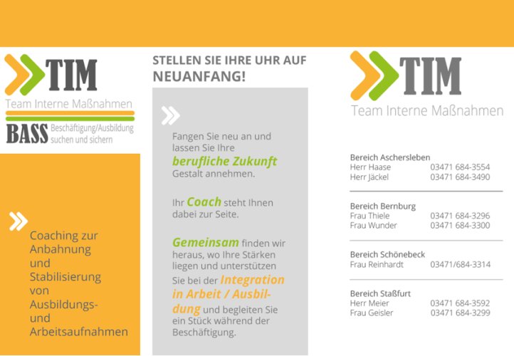 Auszug aus dem Flyer TIM