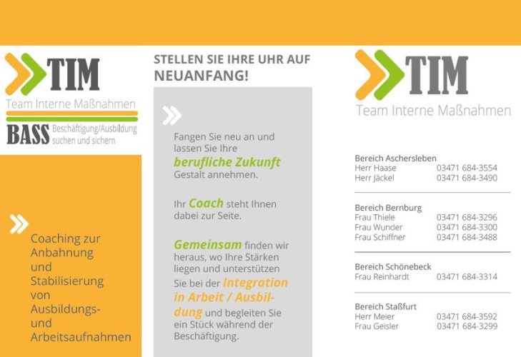 Extract from the TIM flyer