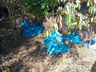 The photograph shows the spot where the sacks containing slaughterhouse waste were found. The photograph shows the spot where the sacks containing slaughterhouse waste were found.