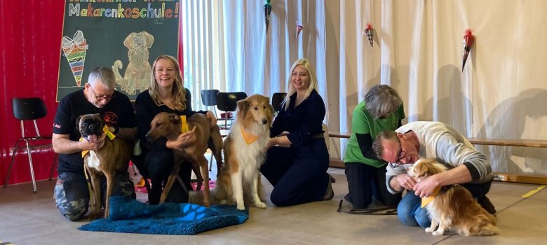 Enrolment of school dogs