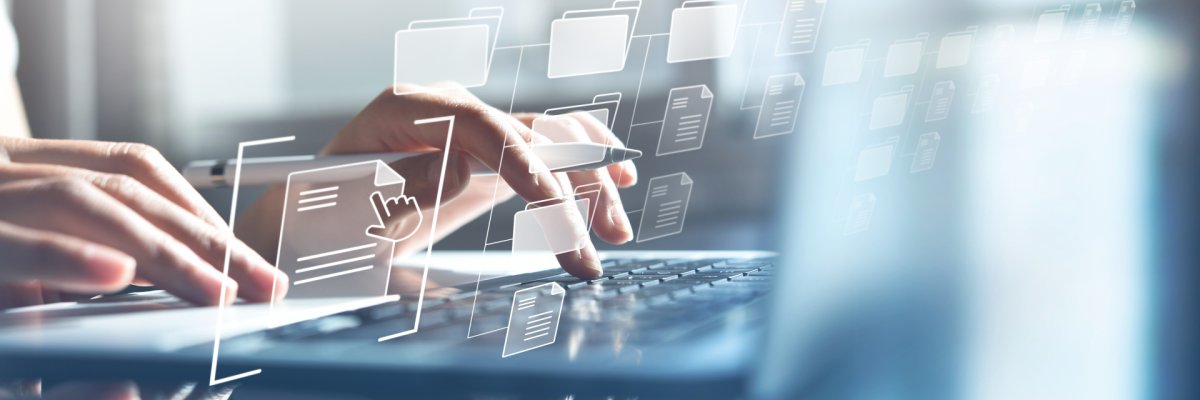 Document Management System (DMS) being setup by IT consultant wo