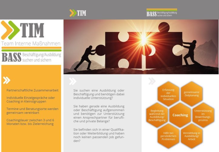 Auszug aus dem Flyer TIM