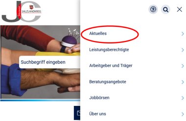 Abbildung des passenden Ausschnitts der Homepageseite.