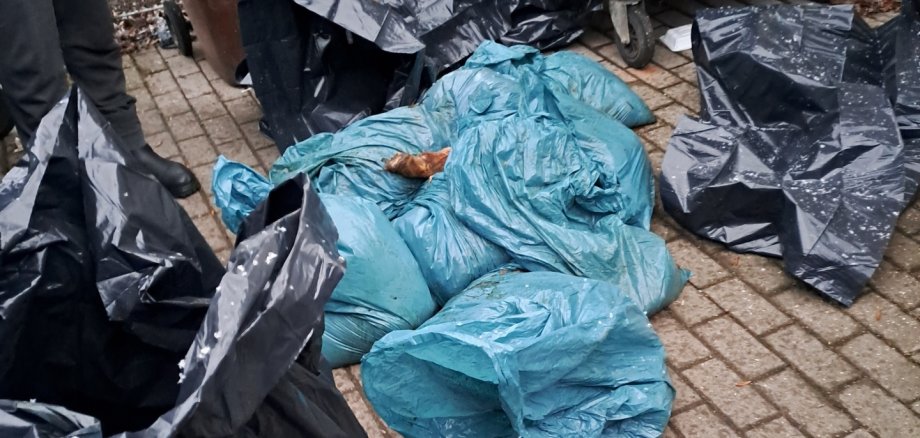 Bolsas de residuos de matadero: el último hallazgo en Aschersleben