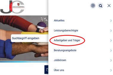 Abbildung des passenden Ausschnitts der Homepageseite.