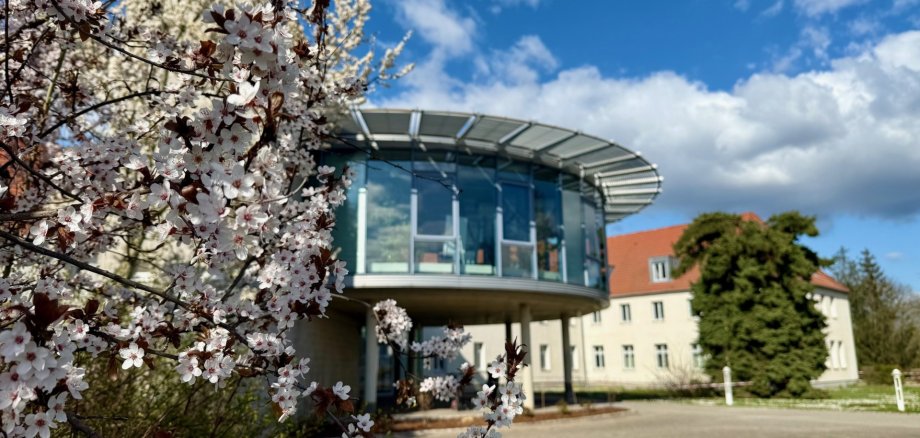 Bâtiment administratif Ermslebener Straße, Aschersleben