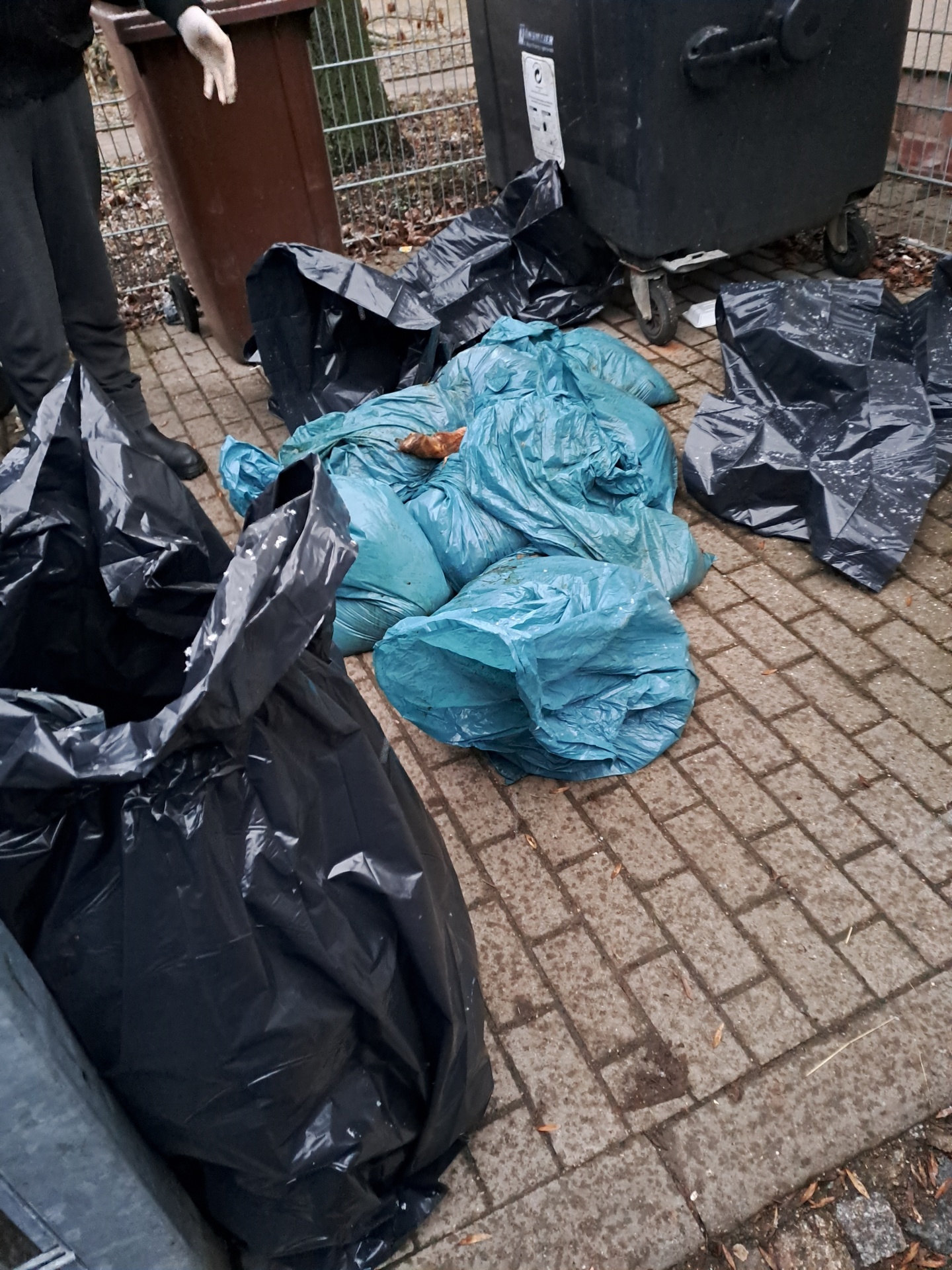 Des sacs de déchets d'abattoir : la dernière découverte à Aschersleben