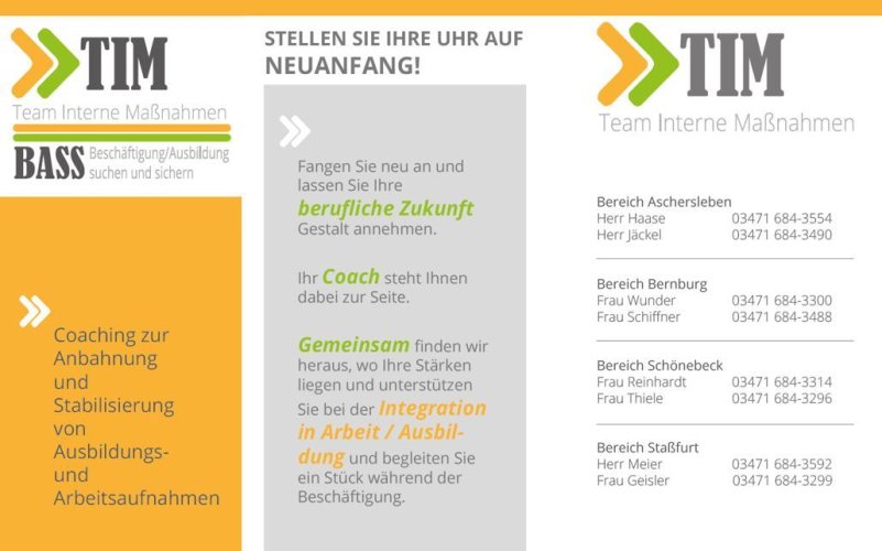 Auszug aus dem Flyer TIM