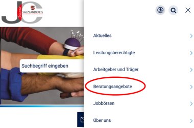 Beratungsangebote Abbildung des passenden Ausschnitts der Homepageseite.